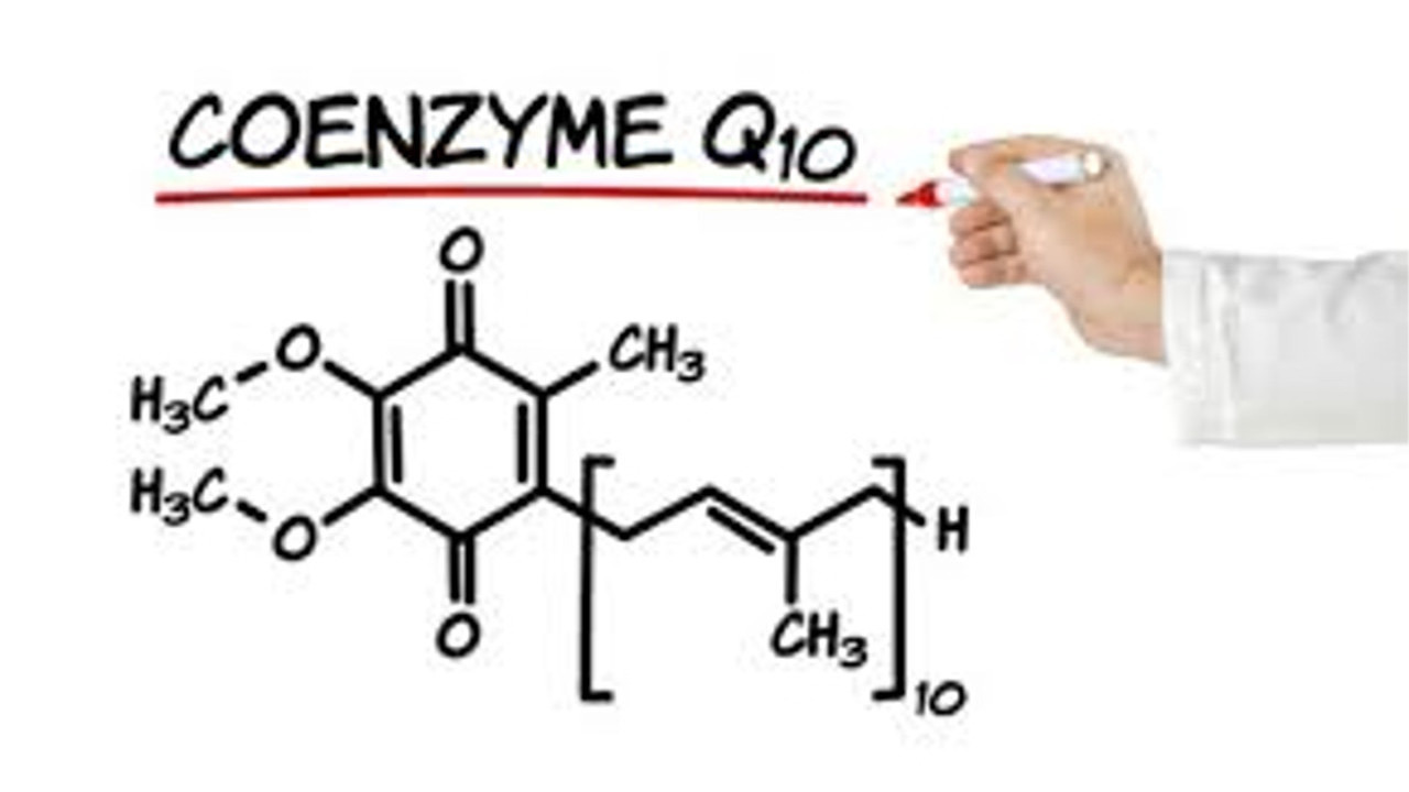 What is Coenzyme?